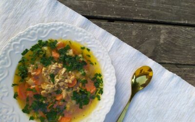 Chicken Dumpling Soup