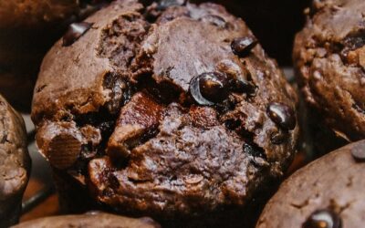 Double Chocolate Chip Muffins
